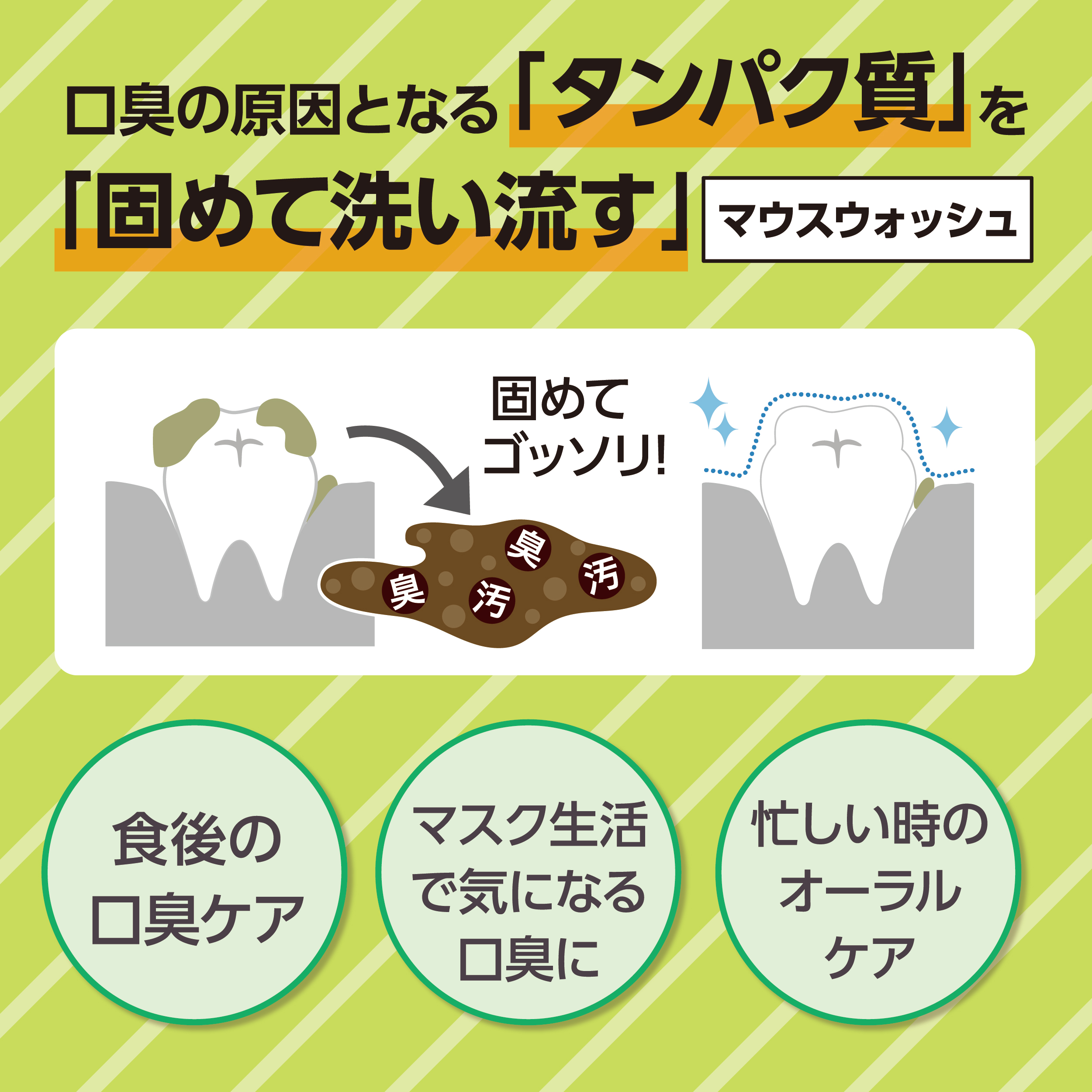 オクチシャインマスカット