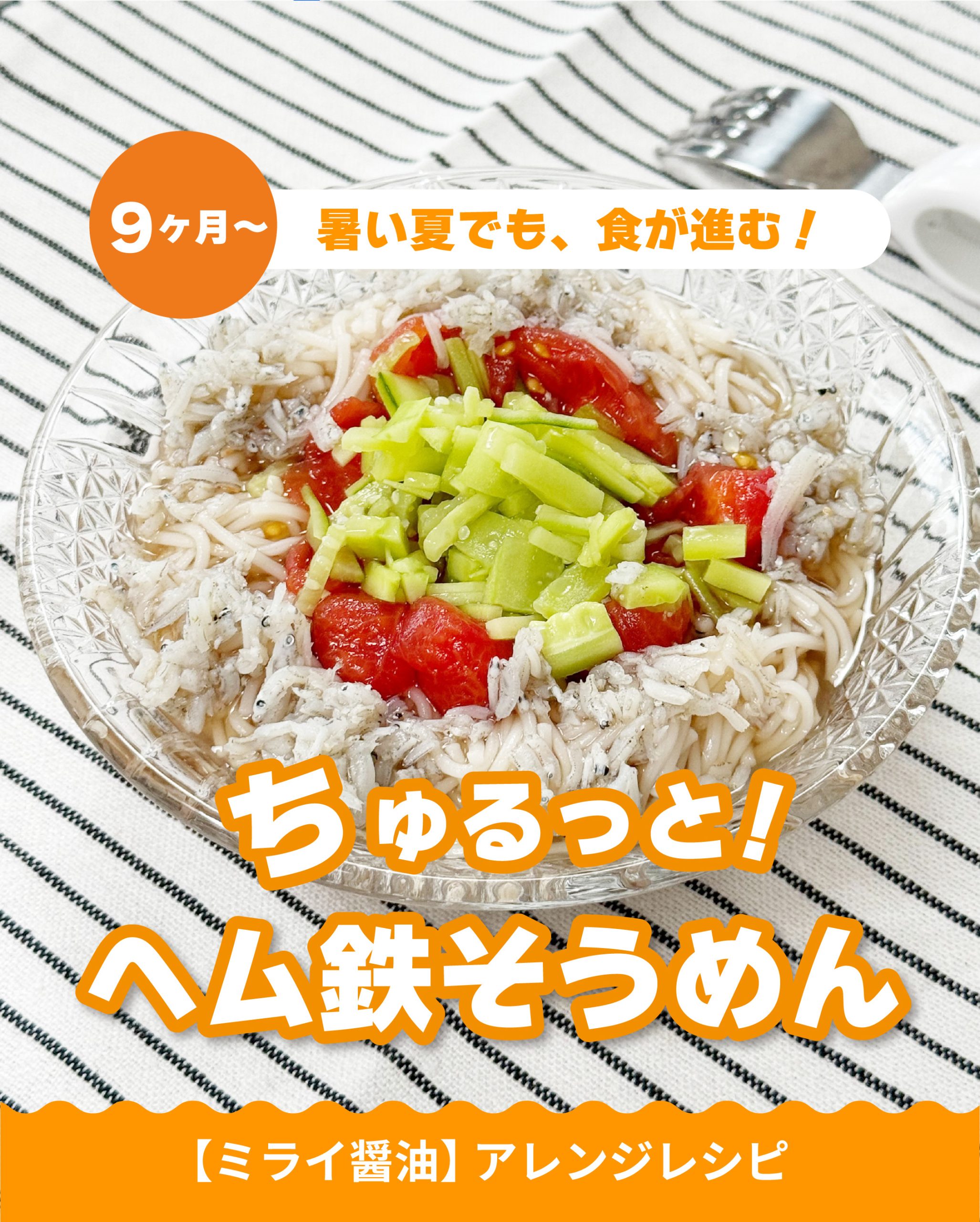 鉄分入り そうめん